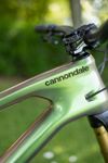 Cannondale Jekyll 1 