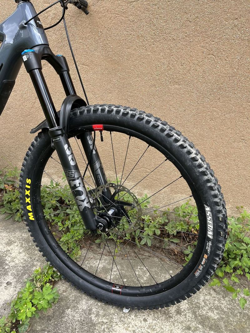 Santa Cruz