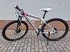 Specialized Rockhopper 29