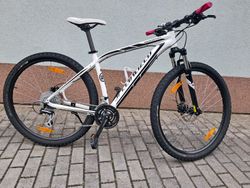 Specialized Rockhopper 29