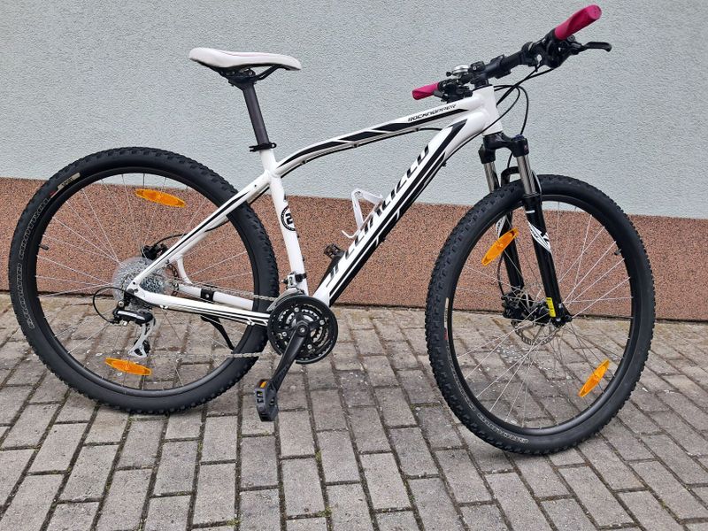 Specialized Rockhopper 29