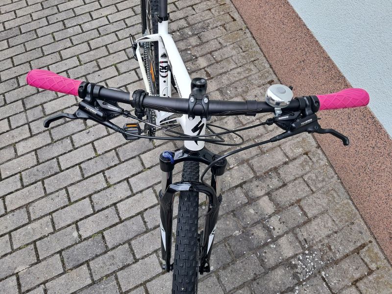Specialized Rockhopper 29