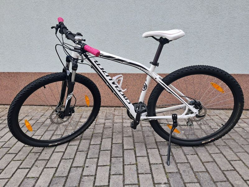 Specialized Rockhopper 29