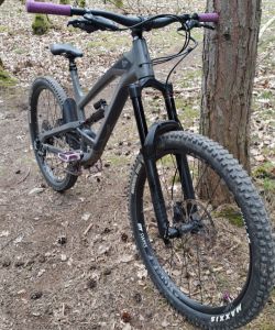 Yt capra 2019