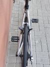 Specialized Tricross Sport (vel. L) – karbonová vidlice a sedlovka, silniční pláště + servis.