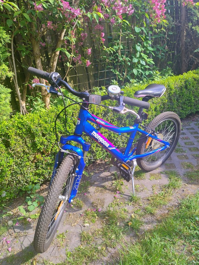 Dětské kolo Mongoose Rockadile 20"