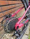 Liv Pique Advanced 2 (Giant) - střela! :)