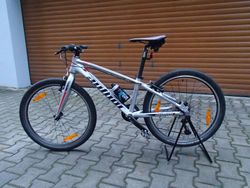 Author Ultrasonic 24"