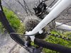 Dámské kolo Giant 
