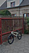 Subrosa altus