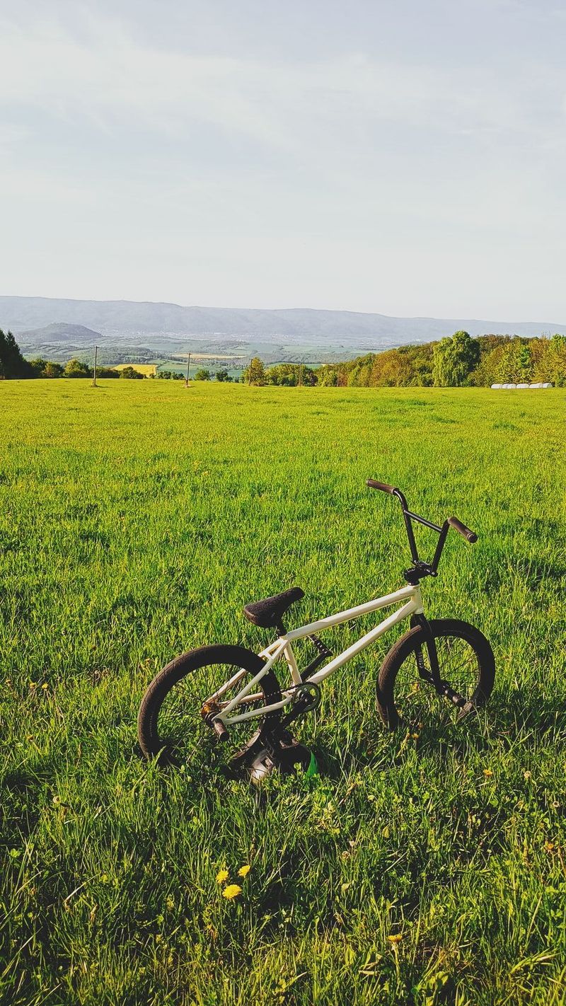 Subrosa altus