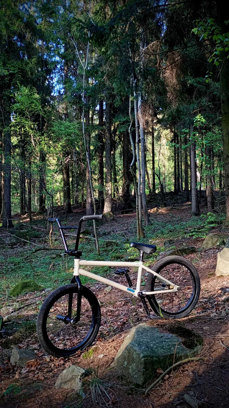 Subrosa altus