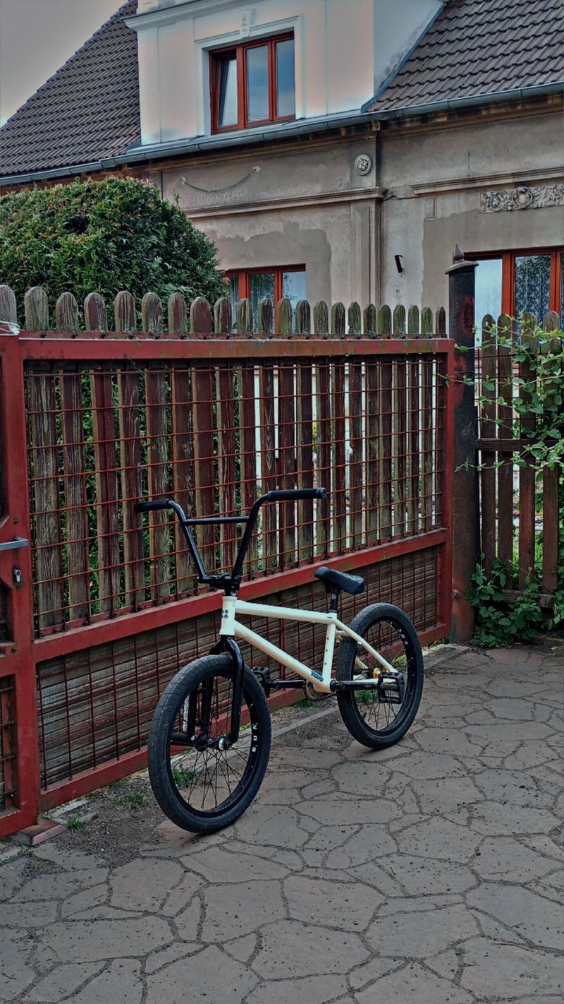 Subrosa altus