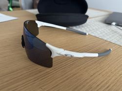 Oakley Evzero Blades PRIZM