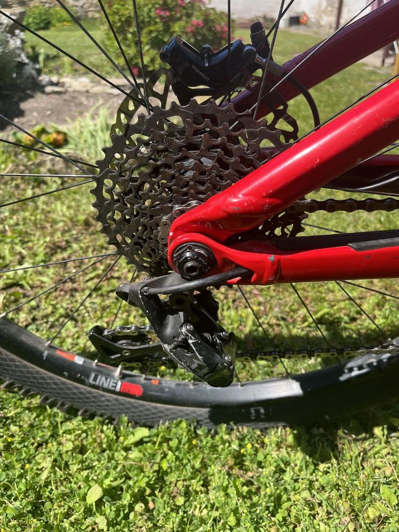 Trek remedy 9