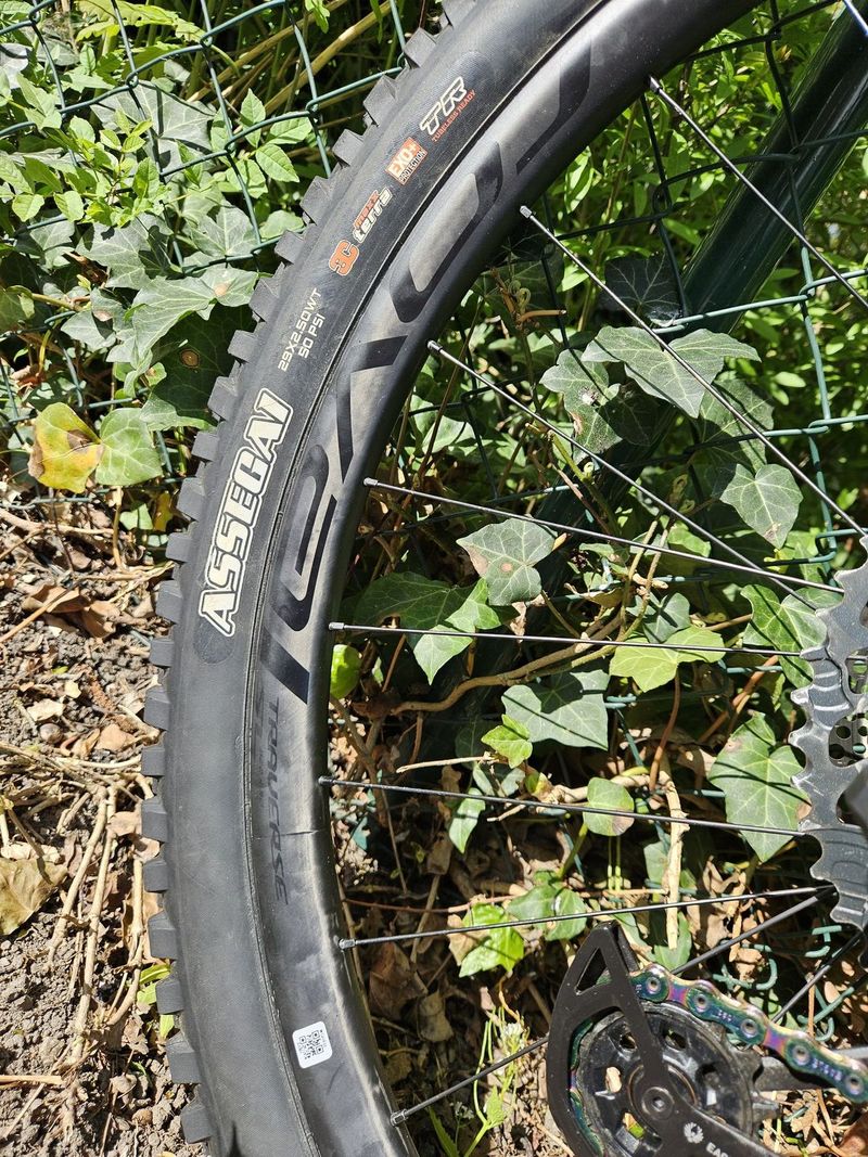 2022 Stumpjumper EVO Expert - velikost S3 ( karbonová a jiná vylepšení)