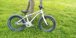Early rider seeker 16"
