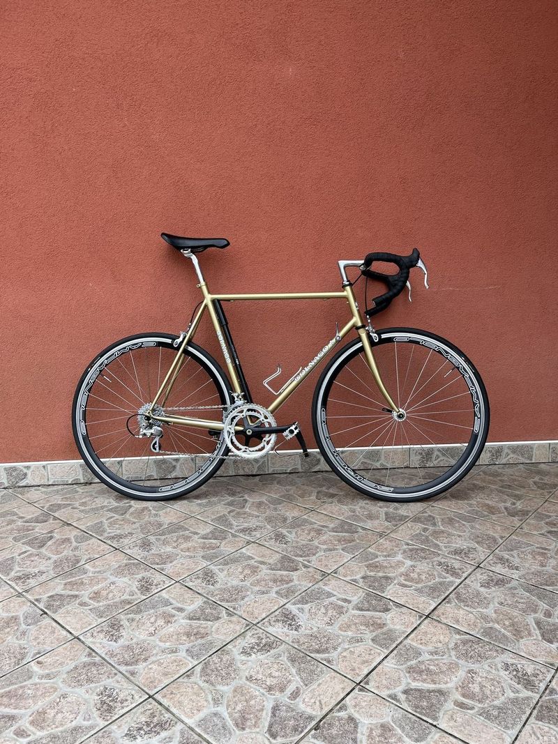 Retro kolo Colnago 