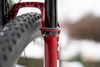 S-Works epic 2021 (komplet kolo/rámová sada)