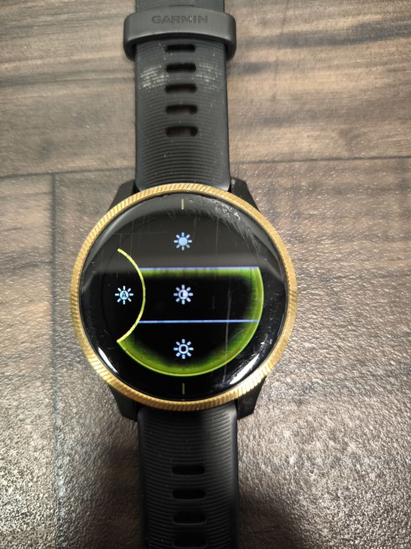 Garmin Venu