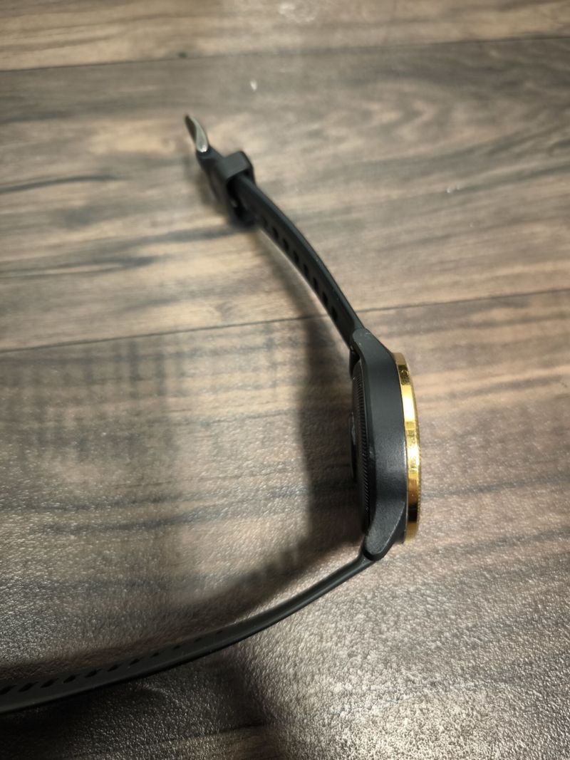 Garmin Venu