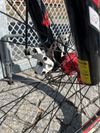 Trek Merlin