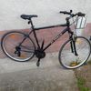 Kellys alpina eco c10