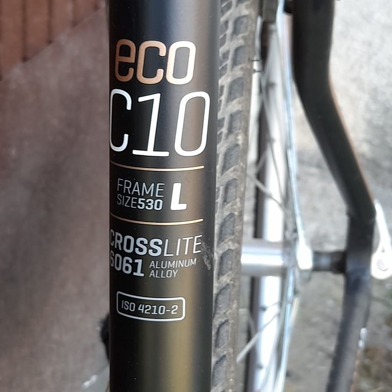 Kellys alpina eco c10
