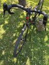 Specialized Diverge Carbon 2021 vel. 56