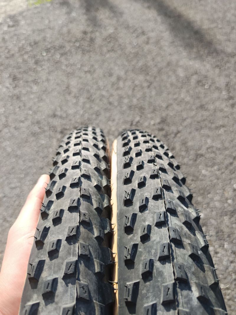 Vittoria Barzo 29 Graphene 2.0-29x2.25