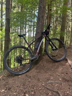 Corratec Revo Bow Elite 2024