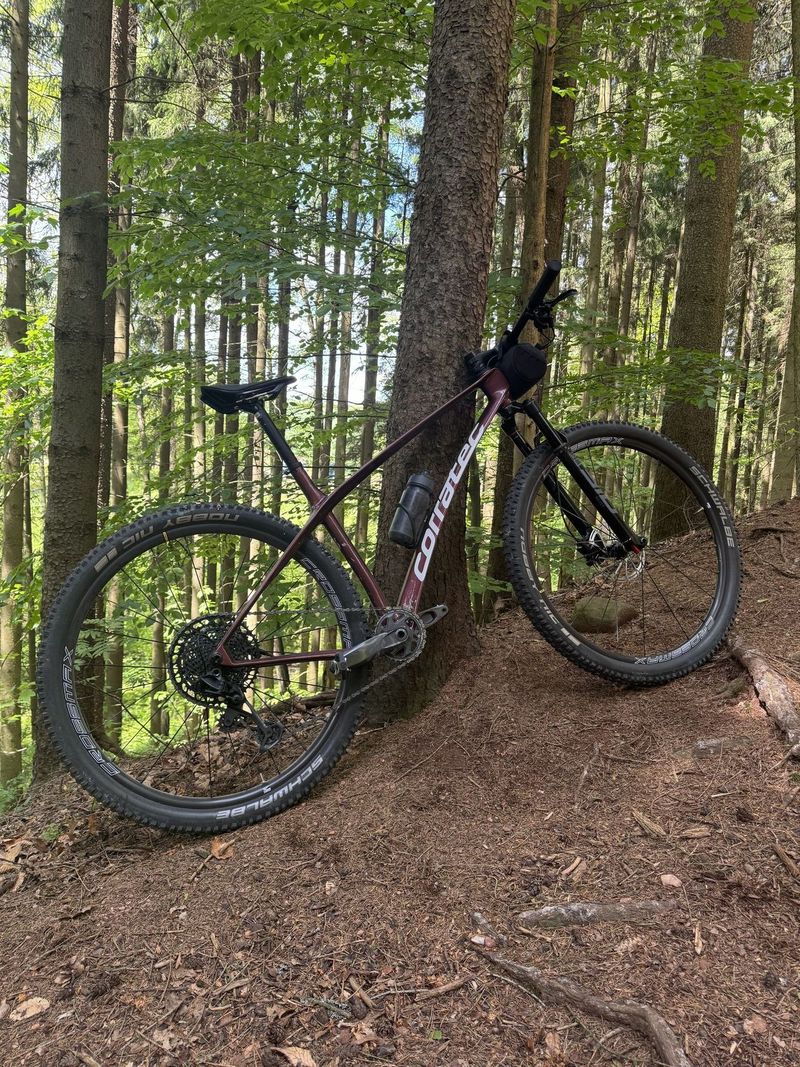 Corratec Revo Bow Elite 2024