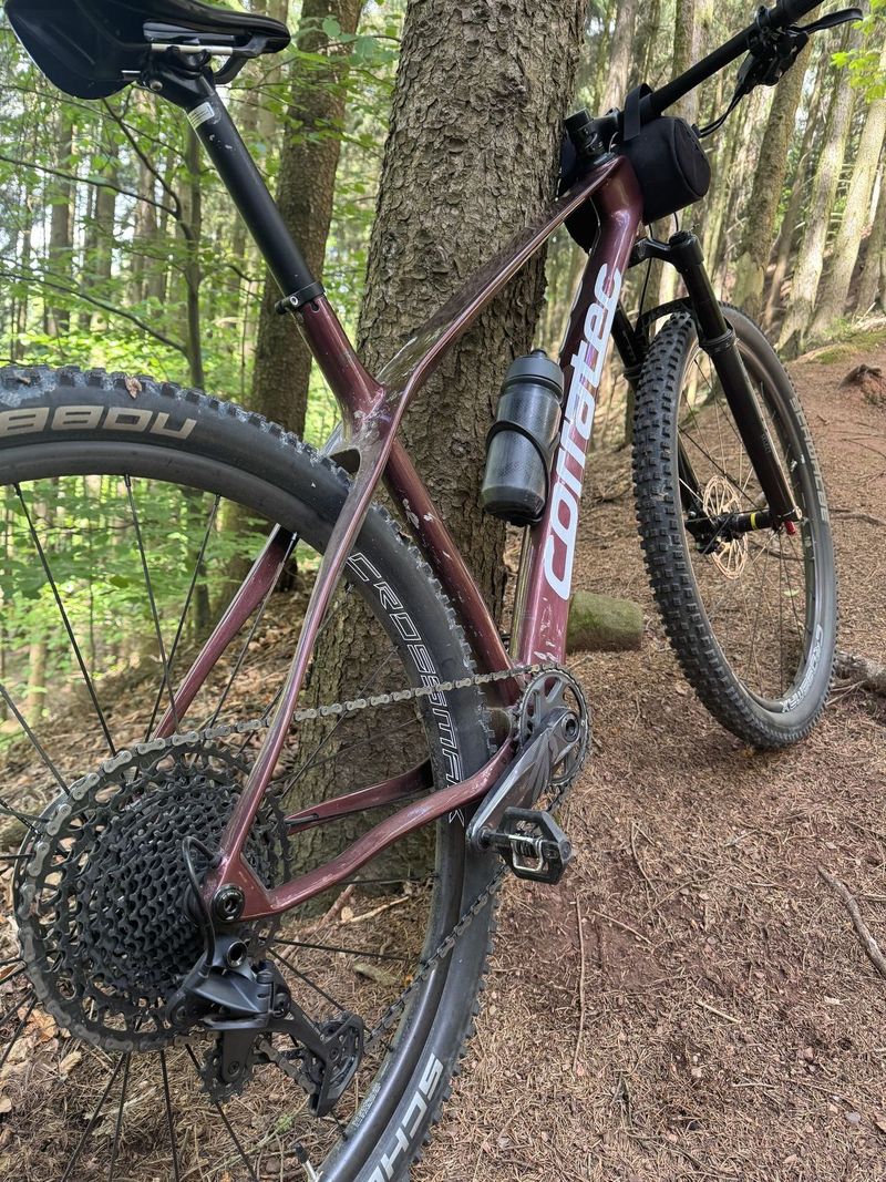 Corratec Revo Bow Elite 2024