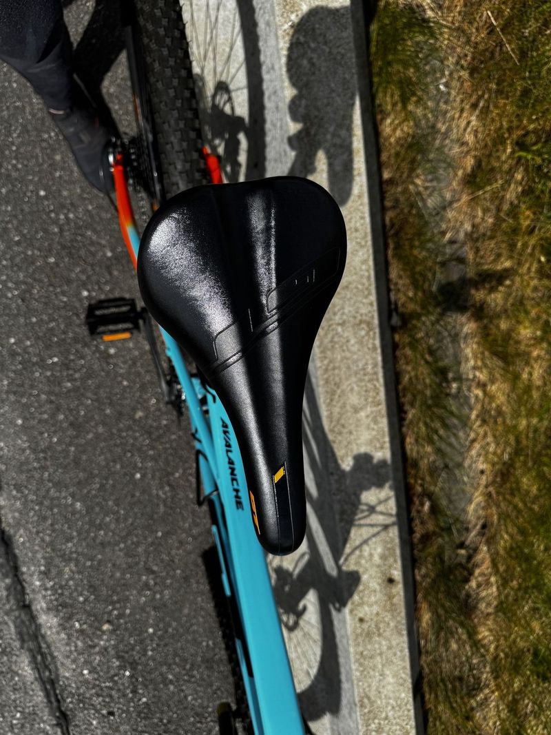 GT Avalanche Sport 29er / L