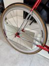 Colnago Master