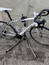 Trek Domane