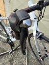 Trek Domane