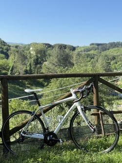 Trek Domane