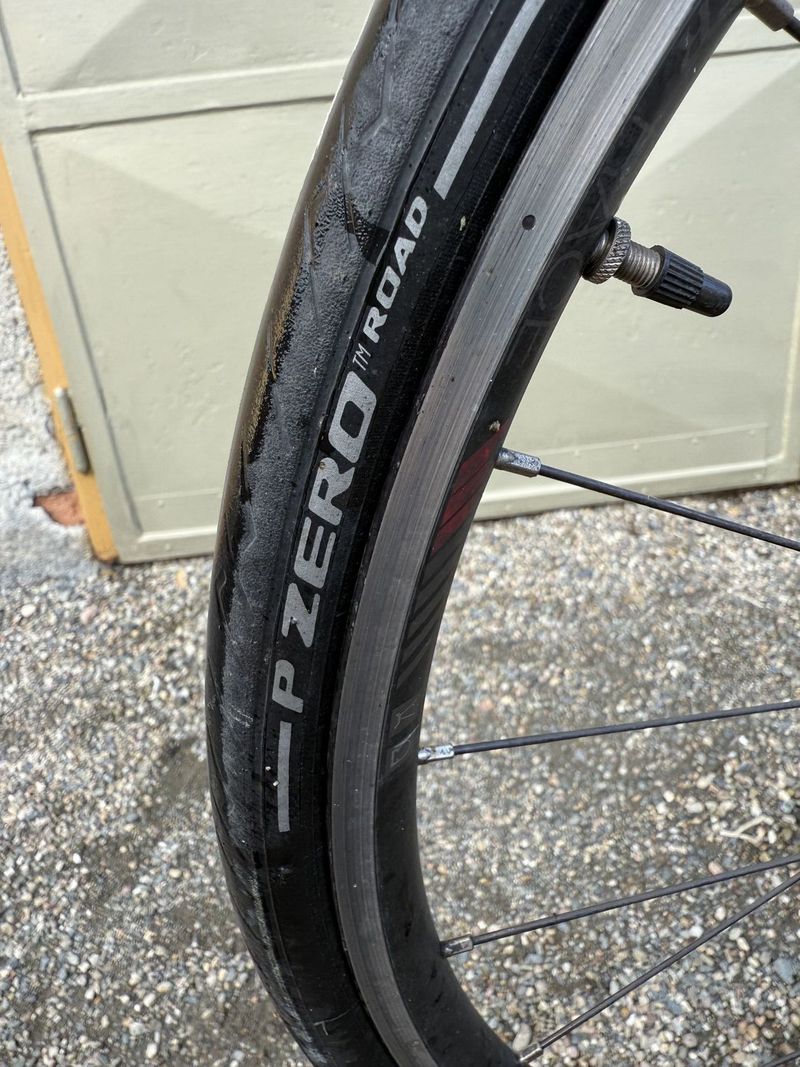 Trek Domane