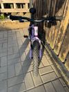 Early Rider Seeker 16