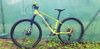 Author Ultrasonic 27,5 2021 vel.14“