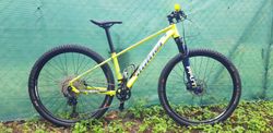 Author Ultrasonic 27,5 2021 vel.14“
