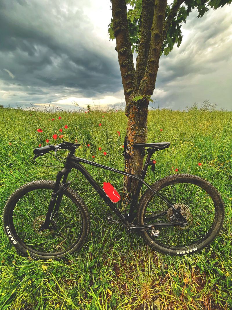 Merida Big Nine 600 black matts