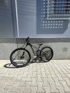 Prodám Giant trance 29