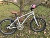Early Rider Belter 16"