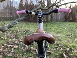Early Rider Belter 16"