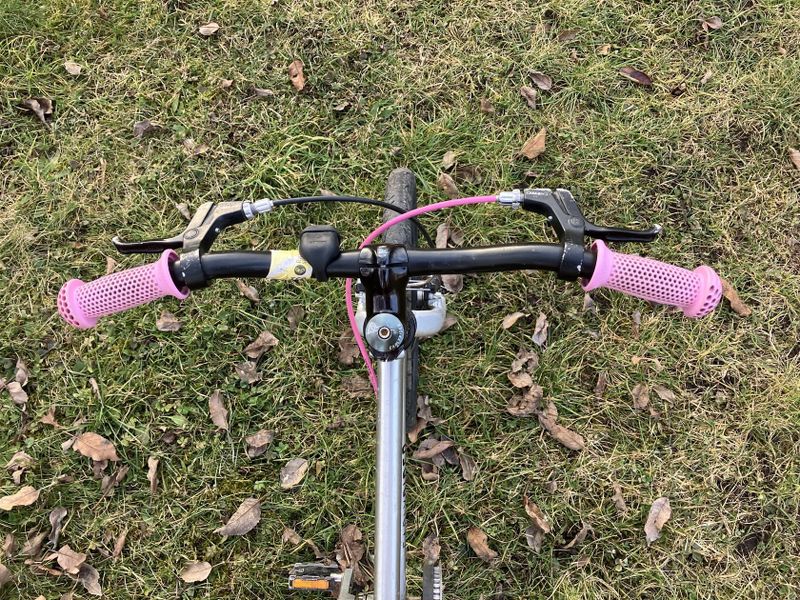 Early Rider Belter 16"