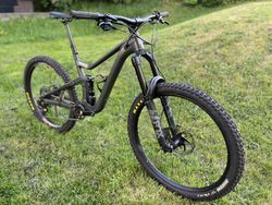 Scott Ransom 920, 2022, mullet