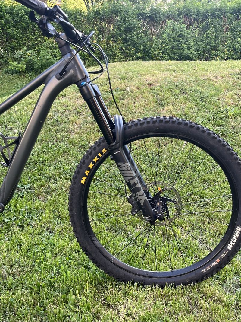 Scott Ransom 920, 2022, mullet