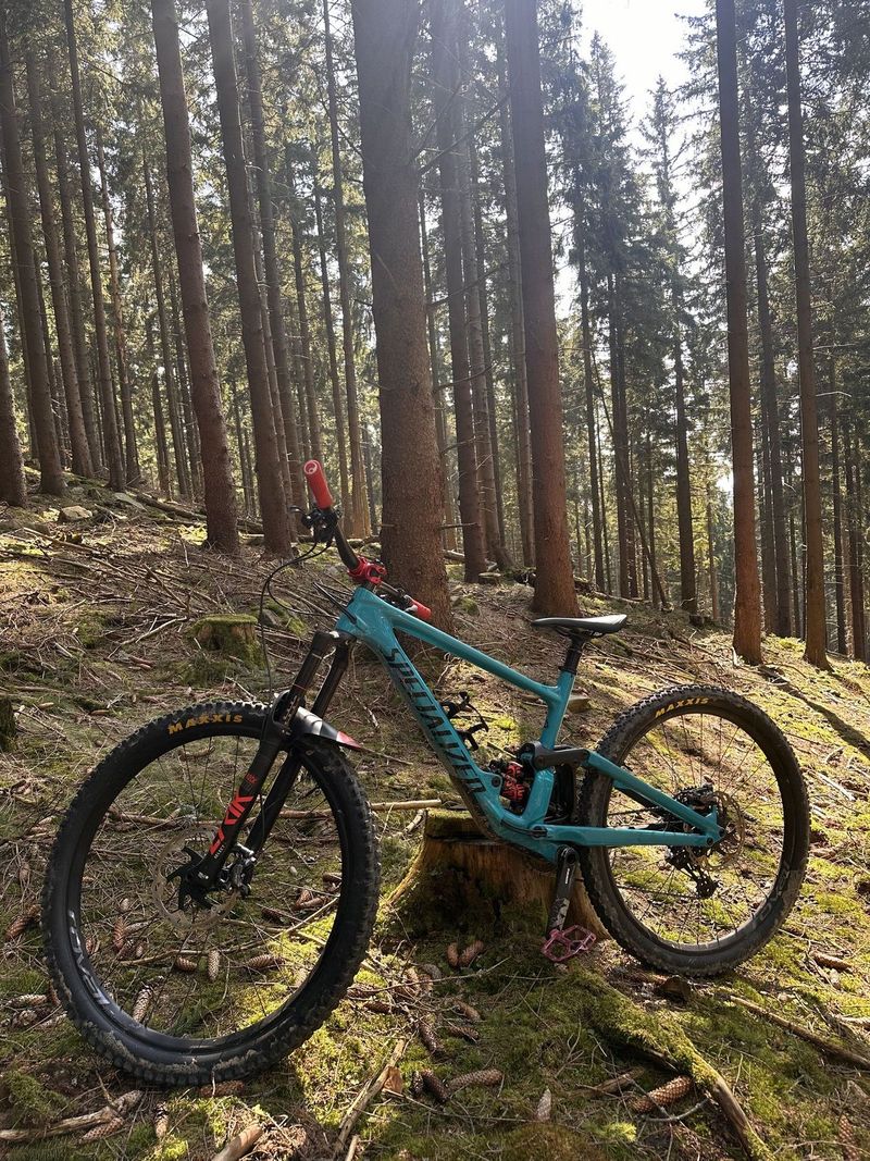 Specialized Enduro Comp